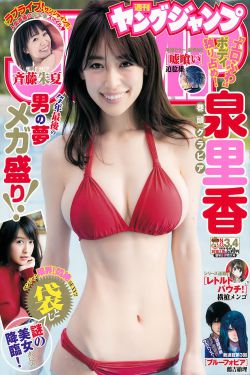 南帝北丐电视剧